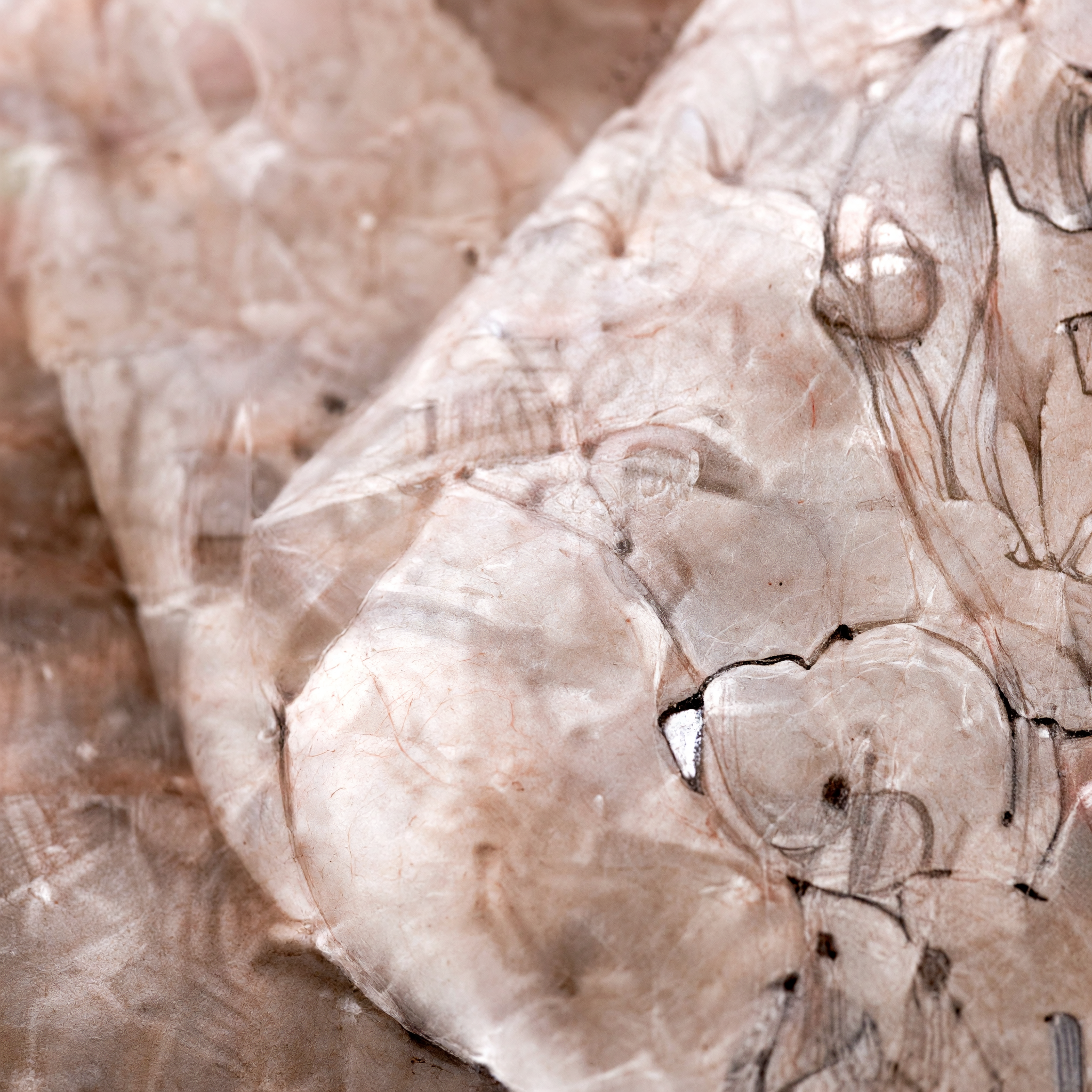 Translucent paper texture